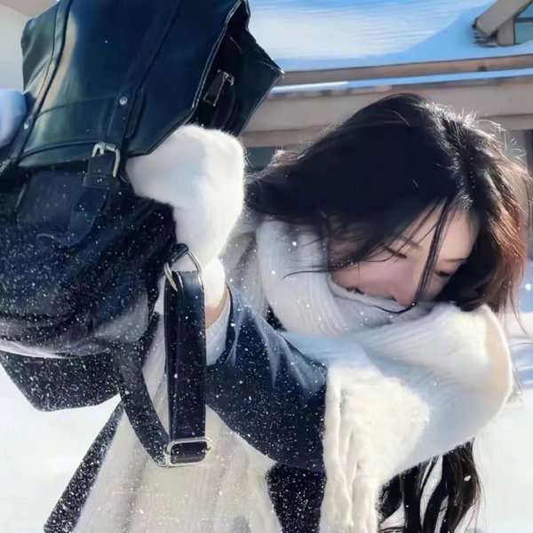 铁拳浪子